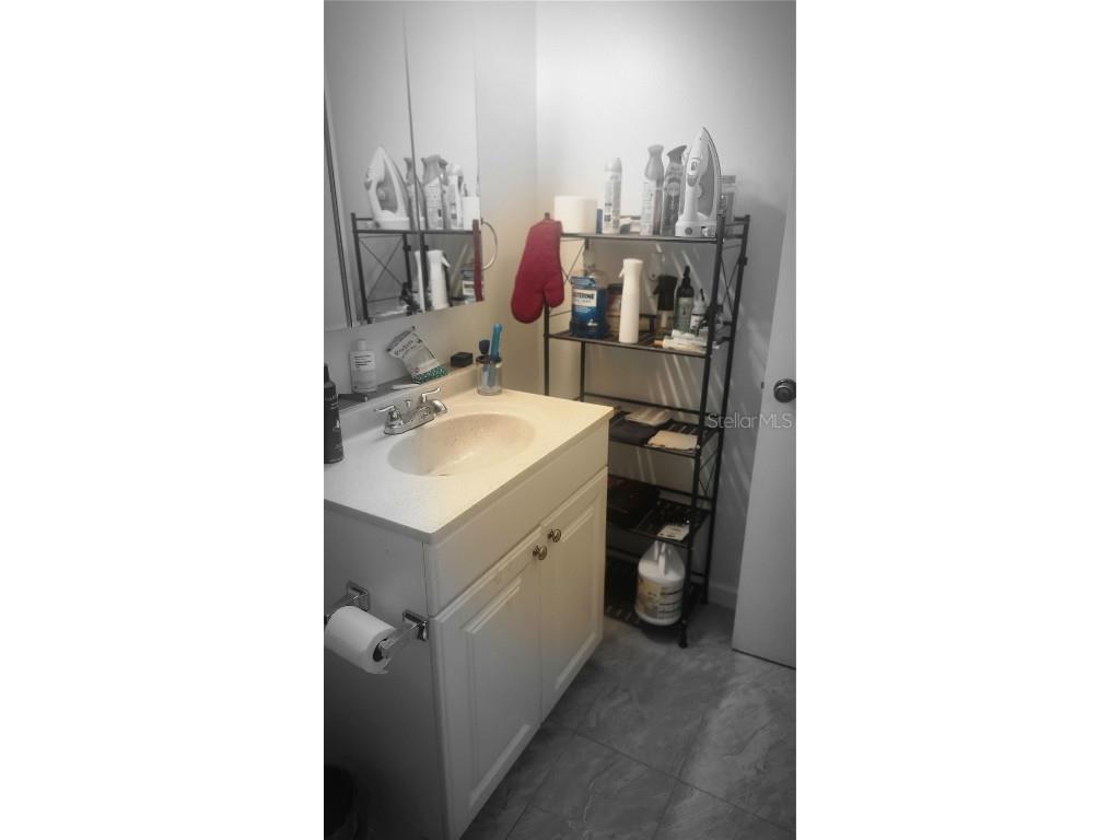 7519 Dolonita Drive #7519 Tampa FL 33615 TB8454397 image23