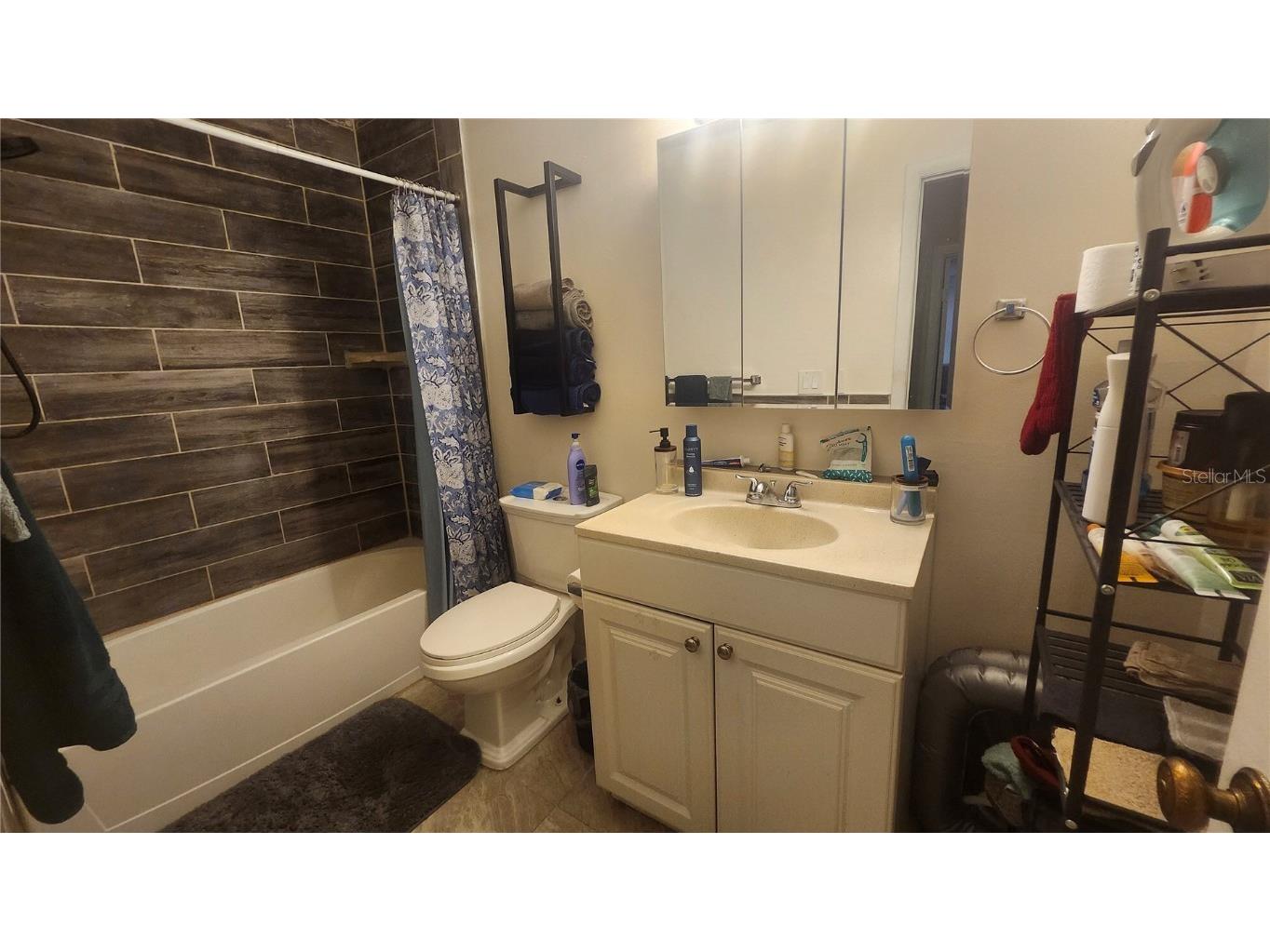 7519 Dolonita Drive #7519 Tampa FL 33615 TB8454397 image25