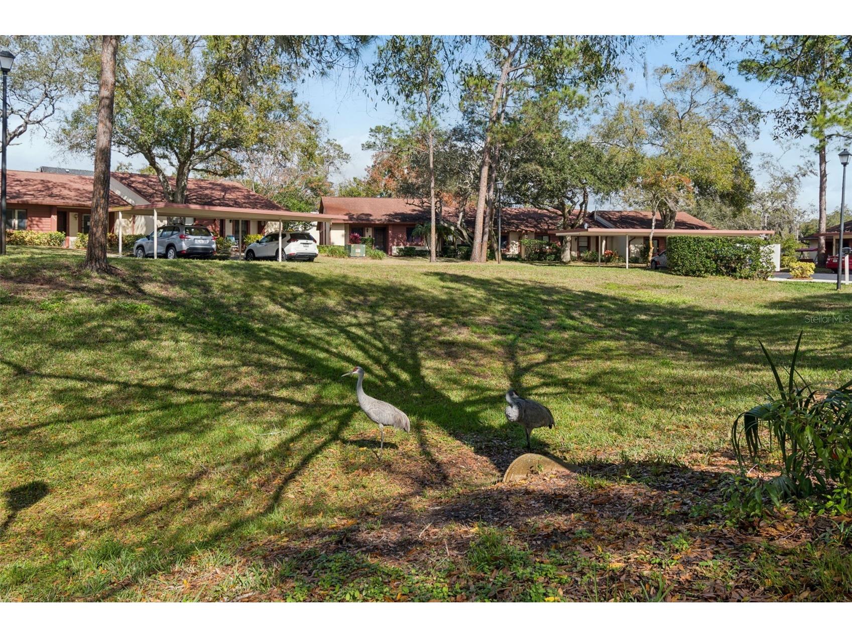 7519 Greystone Drive Hudson FL 34667 TB8465203 image18