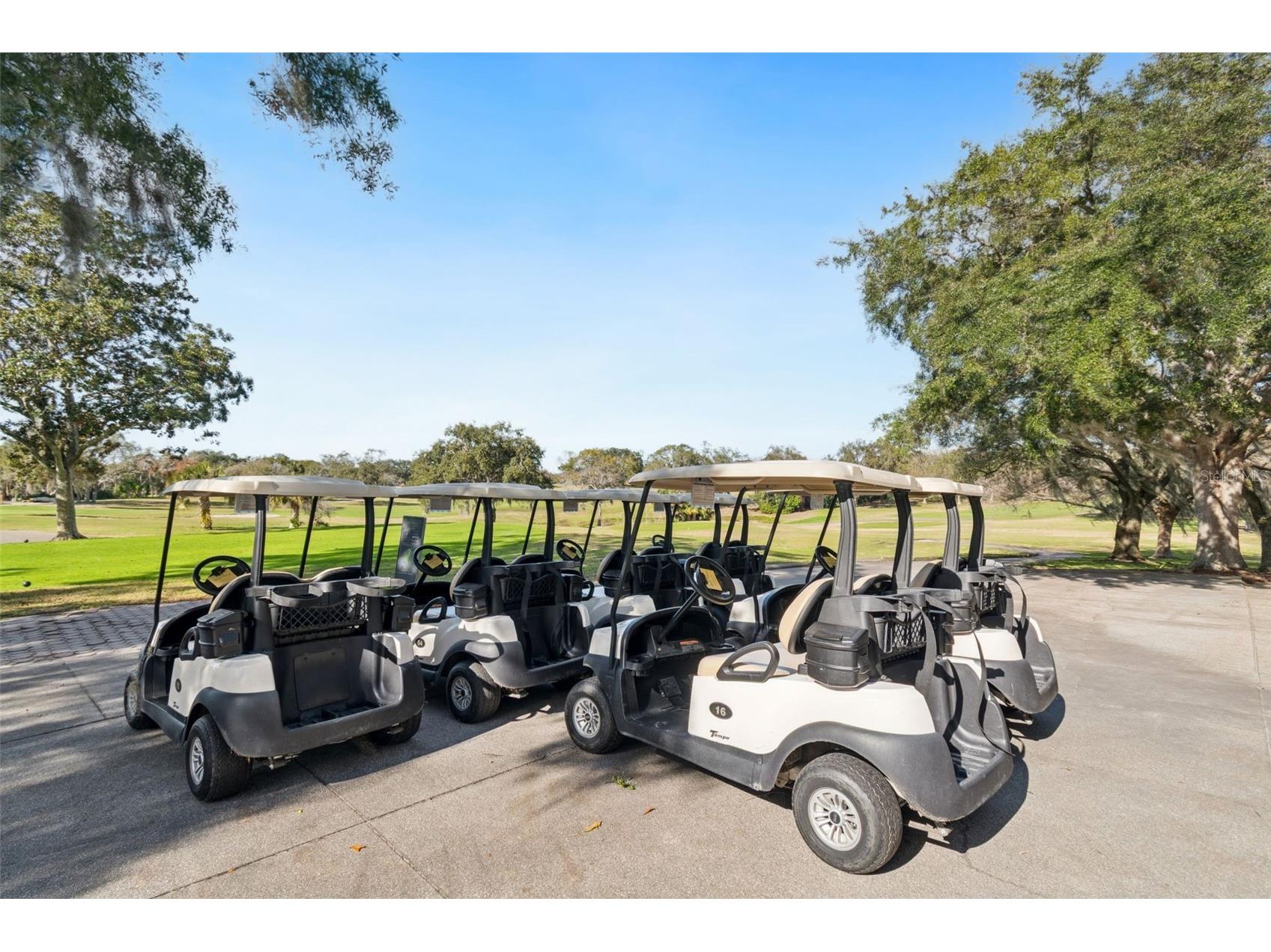 7519 Greystone Drive Hudson FL 34667 TB8465203 image33