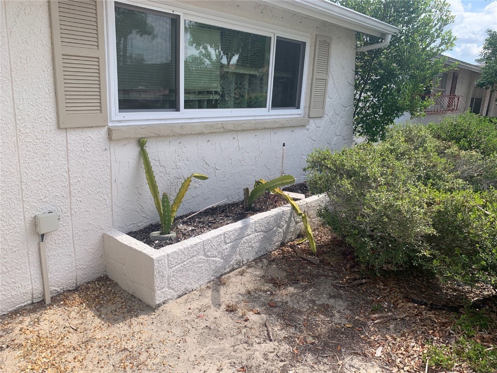 7519 Kensico Drive Port Richey FL 34668 TB8400080 image5