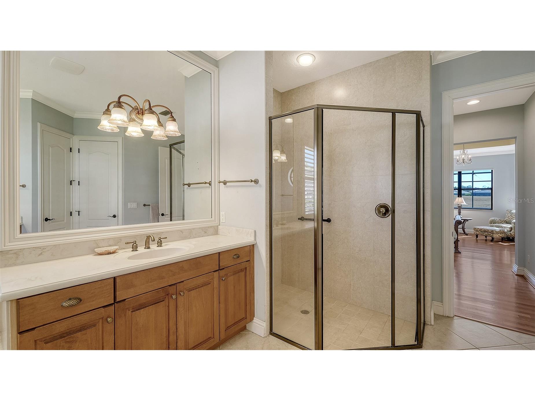 7519 Mizner Reserve Court Lakewood Ranch FL 34202 A4683057 image26