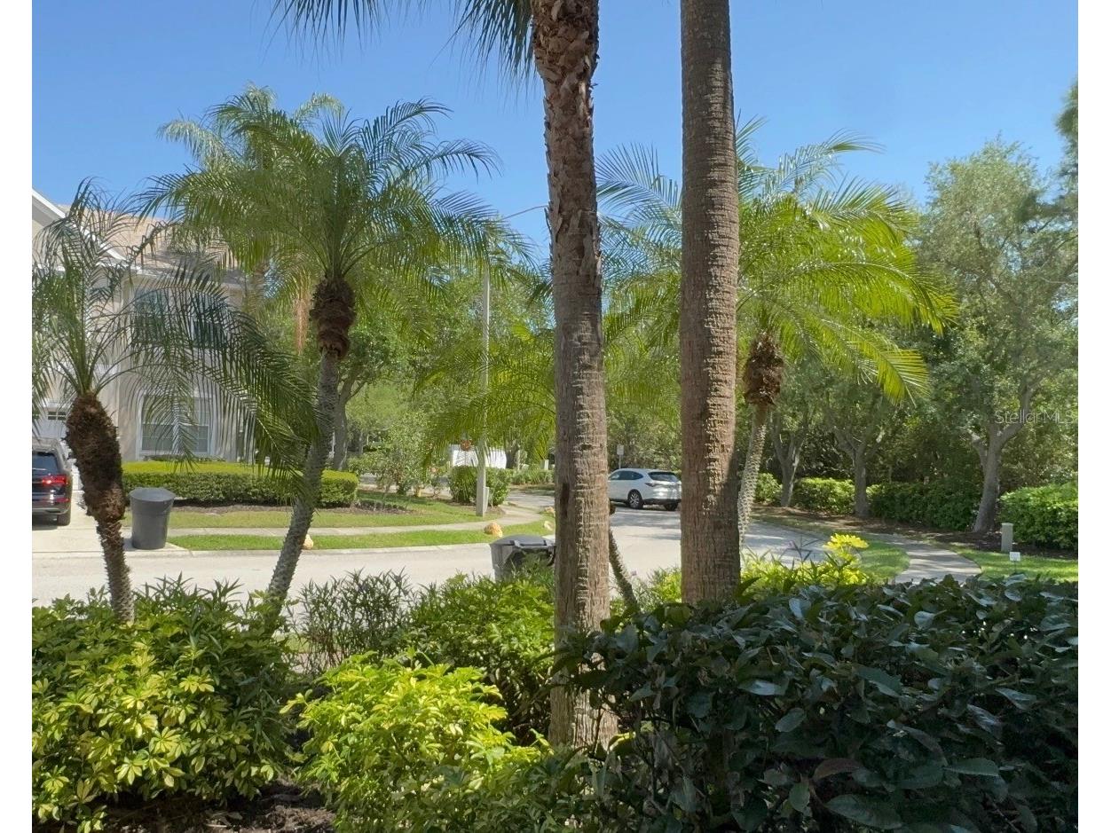 752 Vallance Way NE Saint Petersburg FL 33716 TB8492924 image44