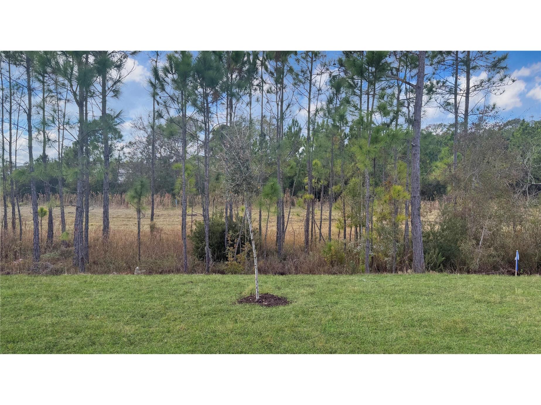 7520 Bent Tree Loop Saint Cloud FL 34773 O6366526 image14
