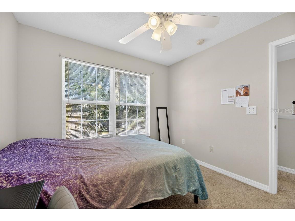 7520 Dragon Fly Loop Gibsonton FL 33534 TB8458490 image22