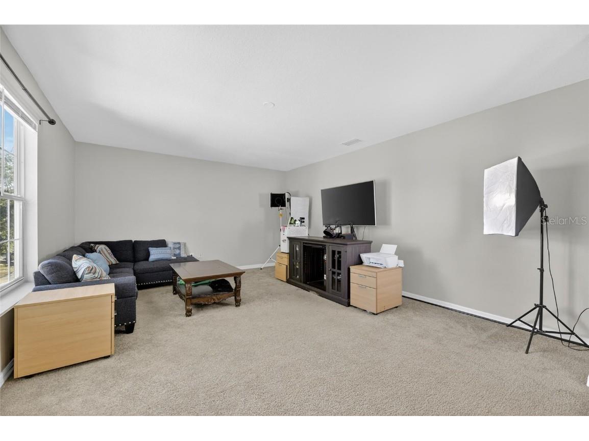 7520 Dragon Fly Loop Gibsonton FL 33534 TB8458490 image26