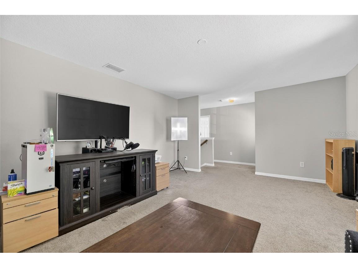 7520 Dragon Fly Loop Gibsonton FL 33534 TB8458490 image27