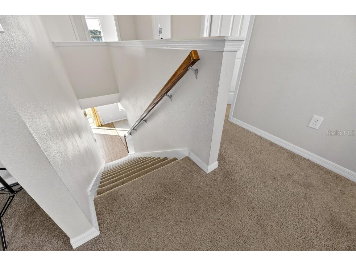 7520 Dragon Fly Loop Gibsonton FL 33534 TB8458490 image29