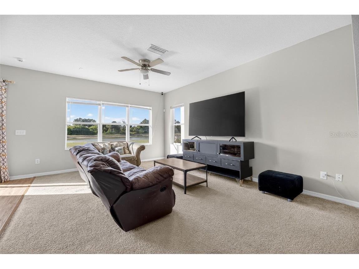 7520 Dragon Fly Loop Gibsonton FL 33534 TB8458490 image9