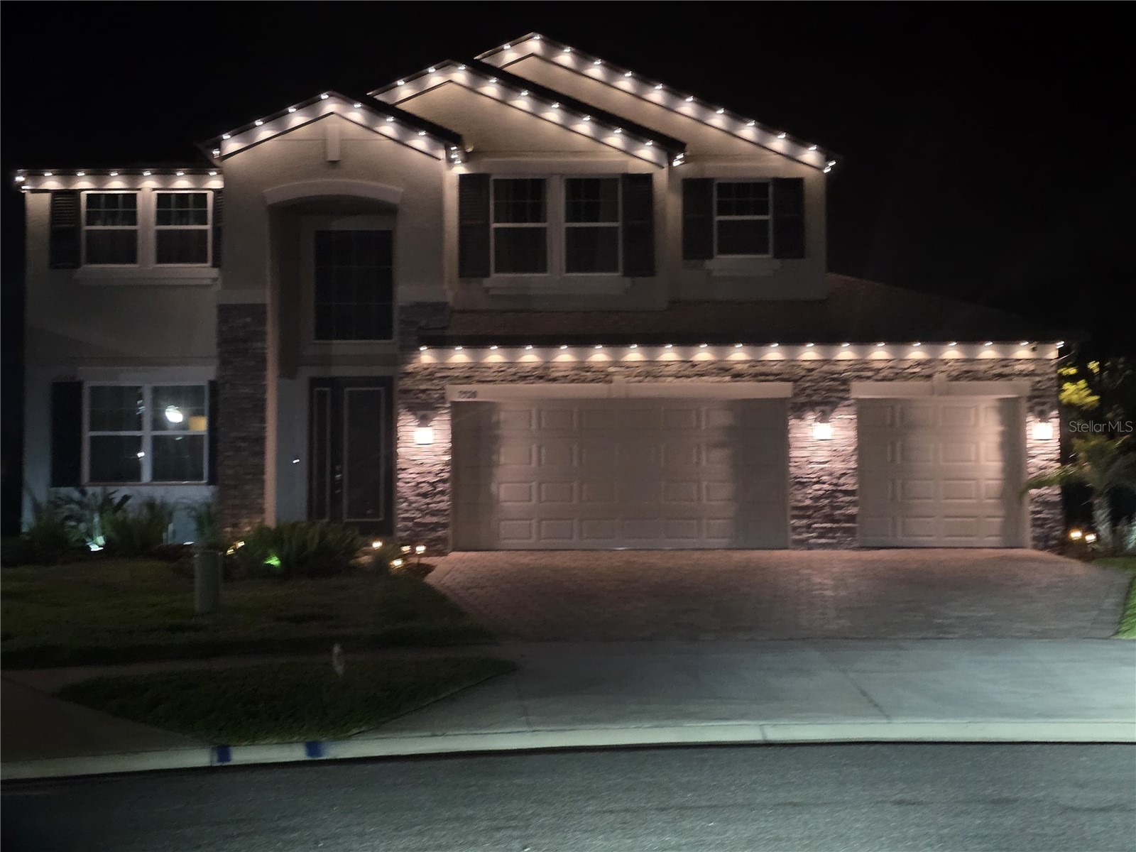 7520 Greenheart Court Wesley Chapel FL 33545 TB8500138 image37