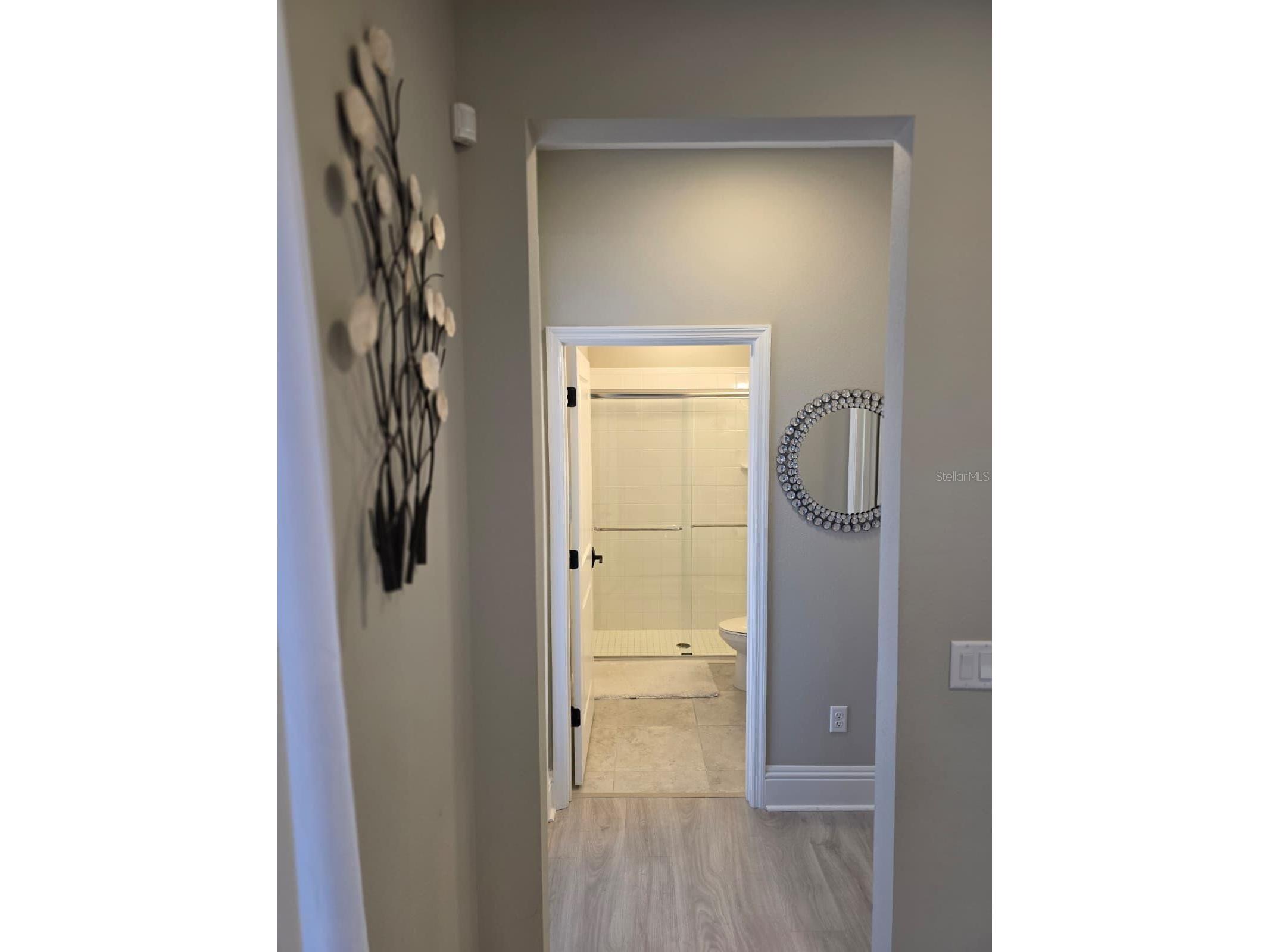 7520 Greenheart Court Wesley Chapel FL 33545 TB8500217 image22