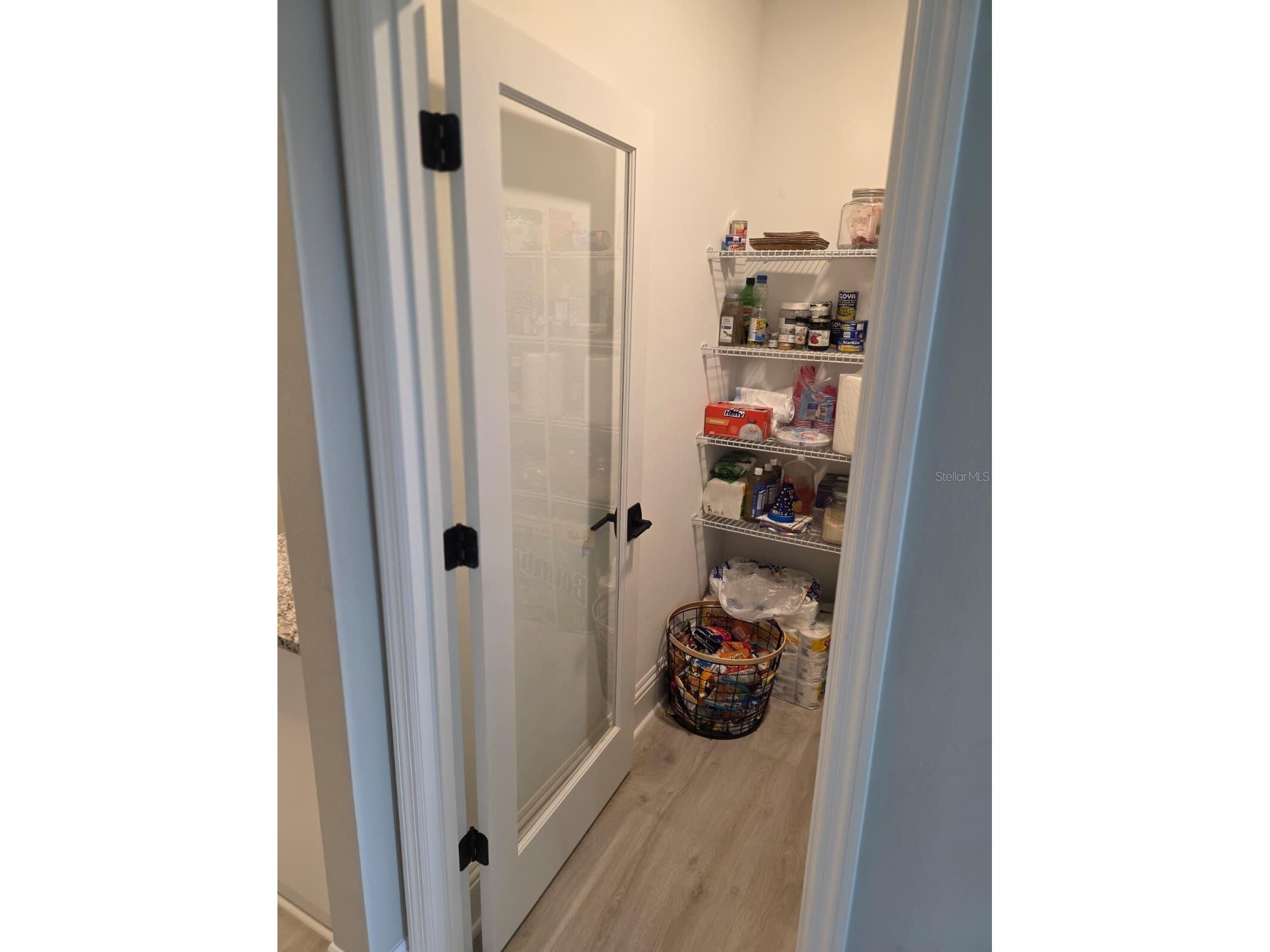 7520 Greenheart Court Wesley Chapel FL 33545 TB8500217 image26
