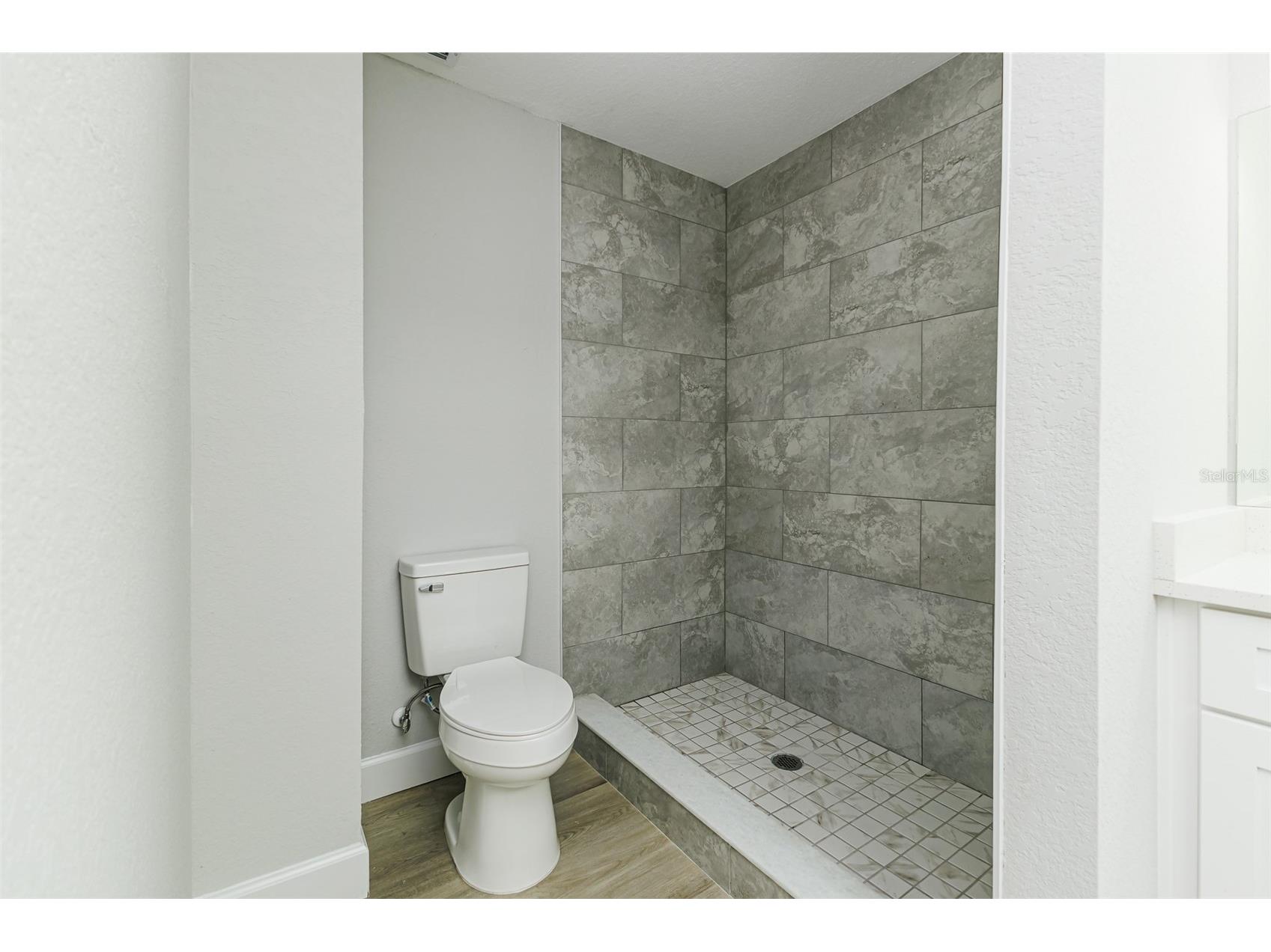 7520 Havenwood Drive Lakeland FL 33810 L4963237 image18