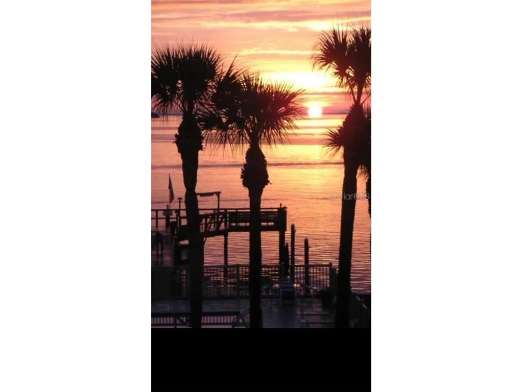 7520 Sunshine Skyway Lane S #T18 Saint Petersburg FL 33711 - TAMPA BAY TB8448650 image5