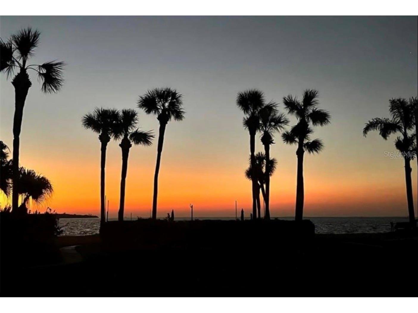 7520 Sunshine Skyway Lane S #T18 Saint Petersburg FL 33711 - TAMPA BAY TB8490542 image5