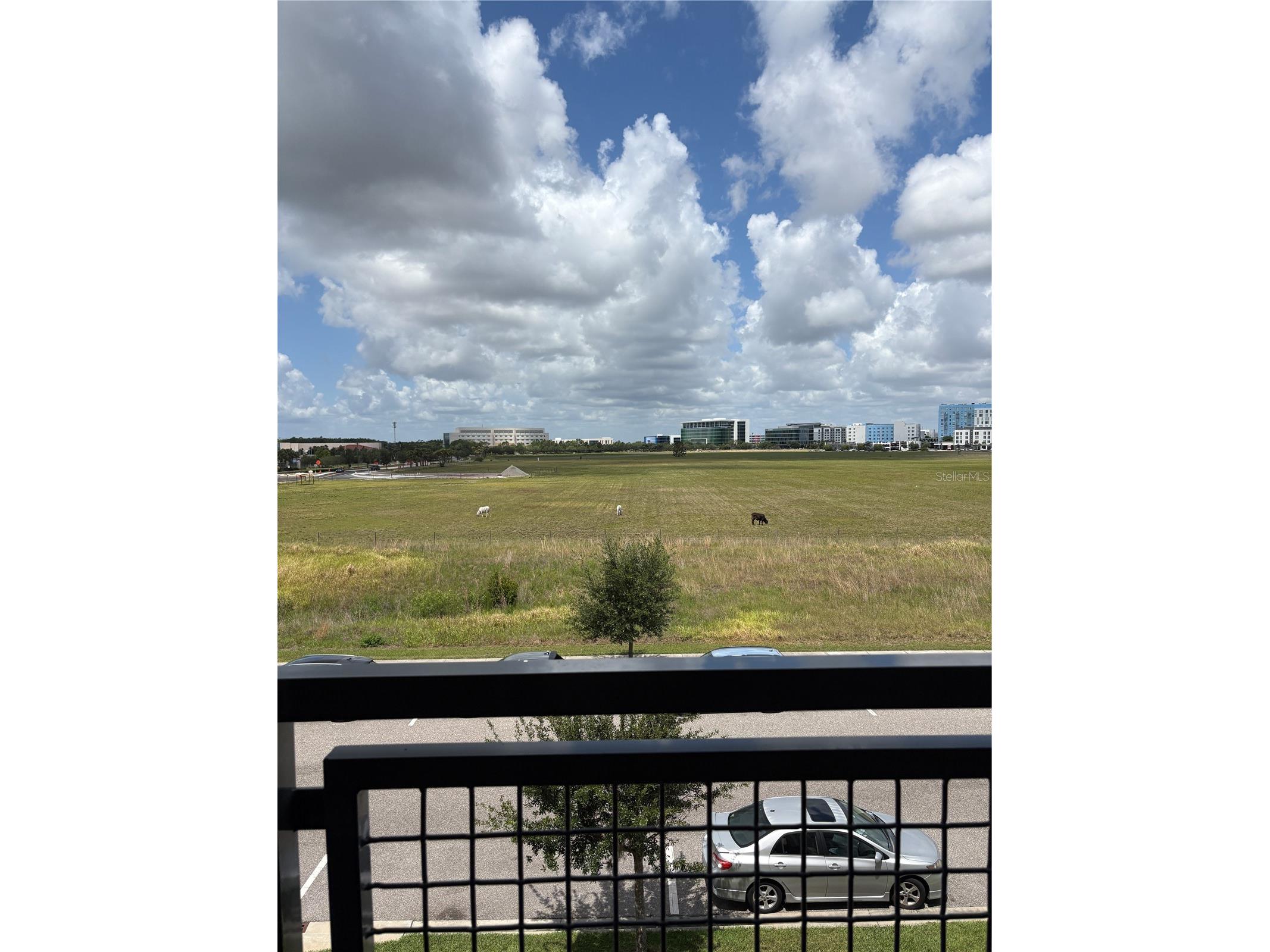 7521 Laureate Boulevard #5305 Orlando FL 32827 O6409256 image27