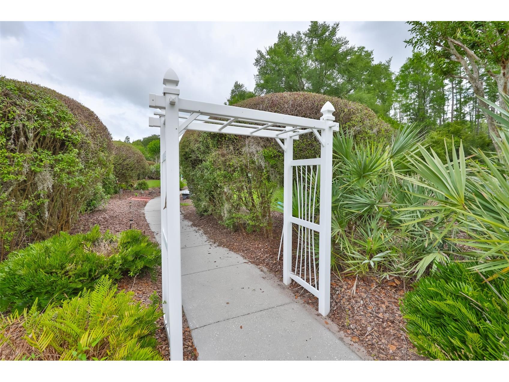 7521 Melogold Circle Land O Lakes FL 34637 TB8515480 image37