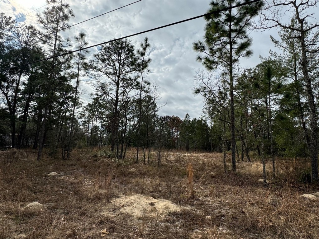 7522 Appomattox Avenue Keystone Heights FL 32656 FC297349 image1