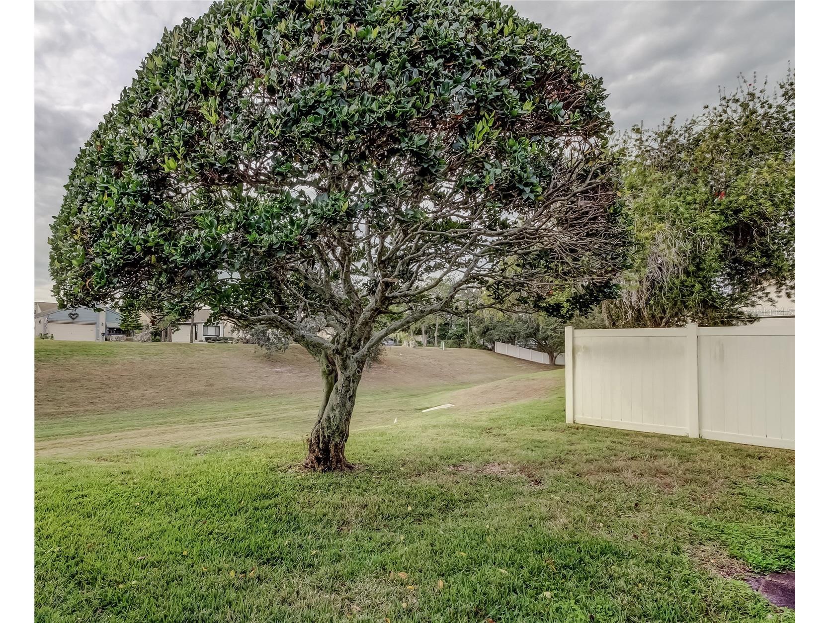 7522 Mediterranean Court Hudson FL 34667 W7881934 image24