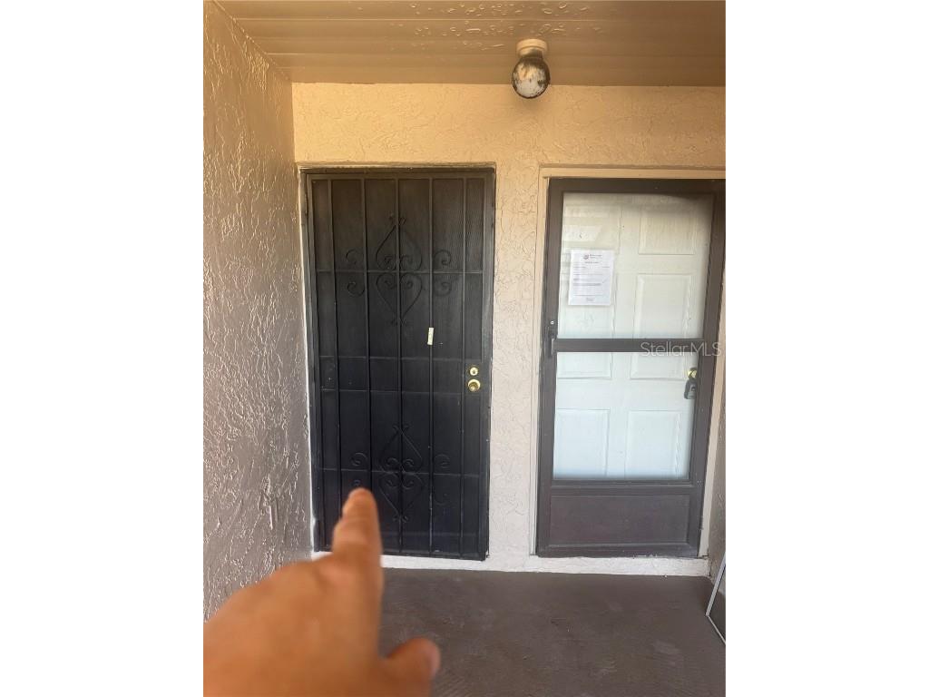 7522 Needle Leaf Place #28 Tampa FL 33617 TB8391732 image1