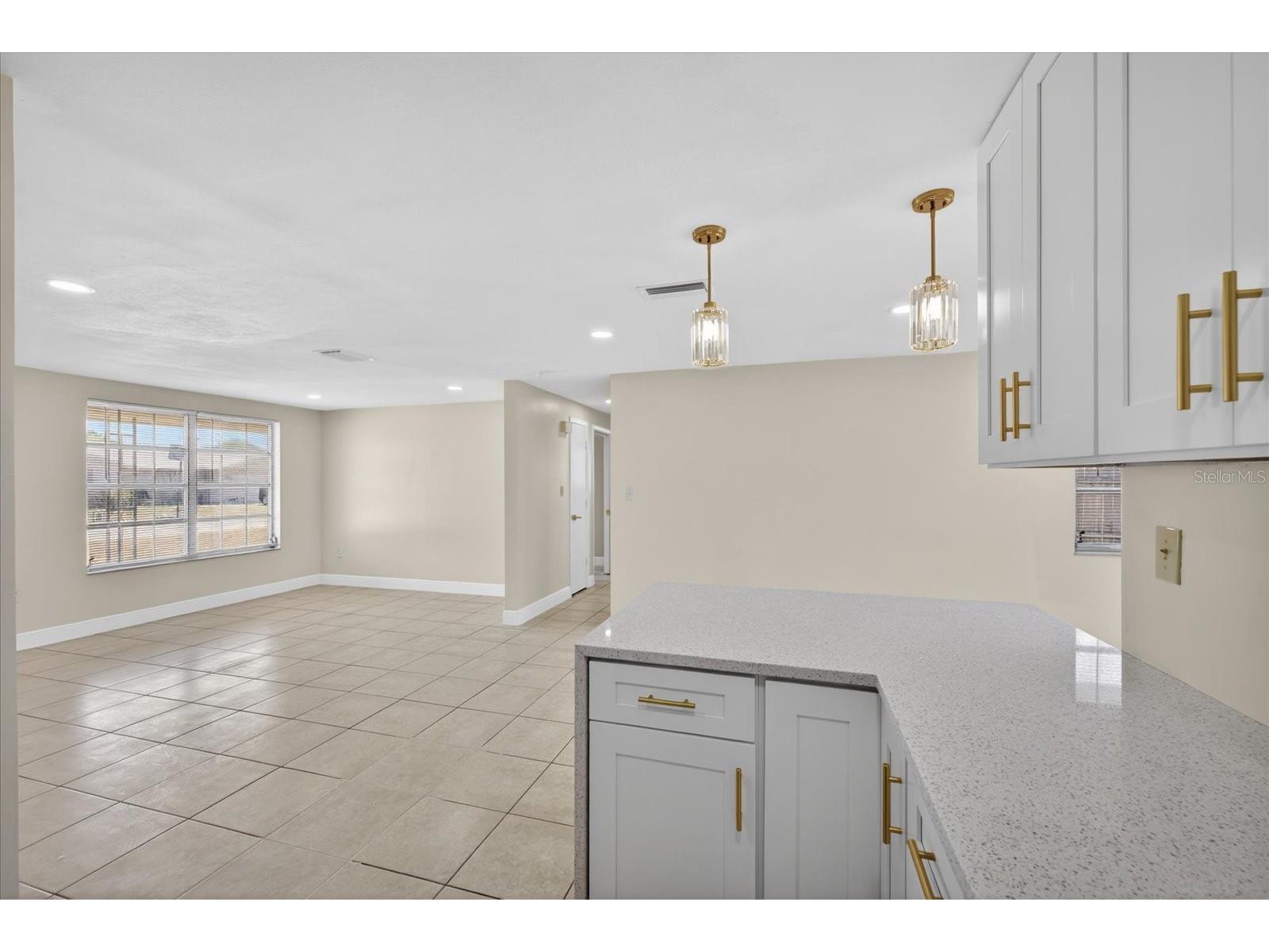 7523 Briarwood Drive Port Richey FL 34668 TB8513124 image20