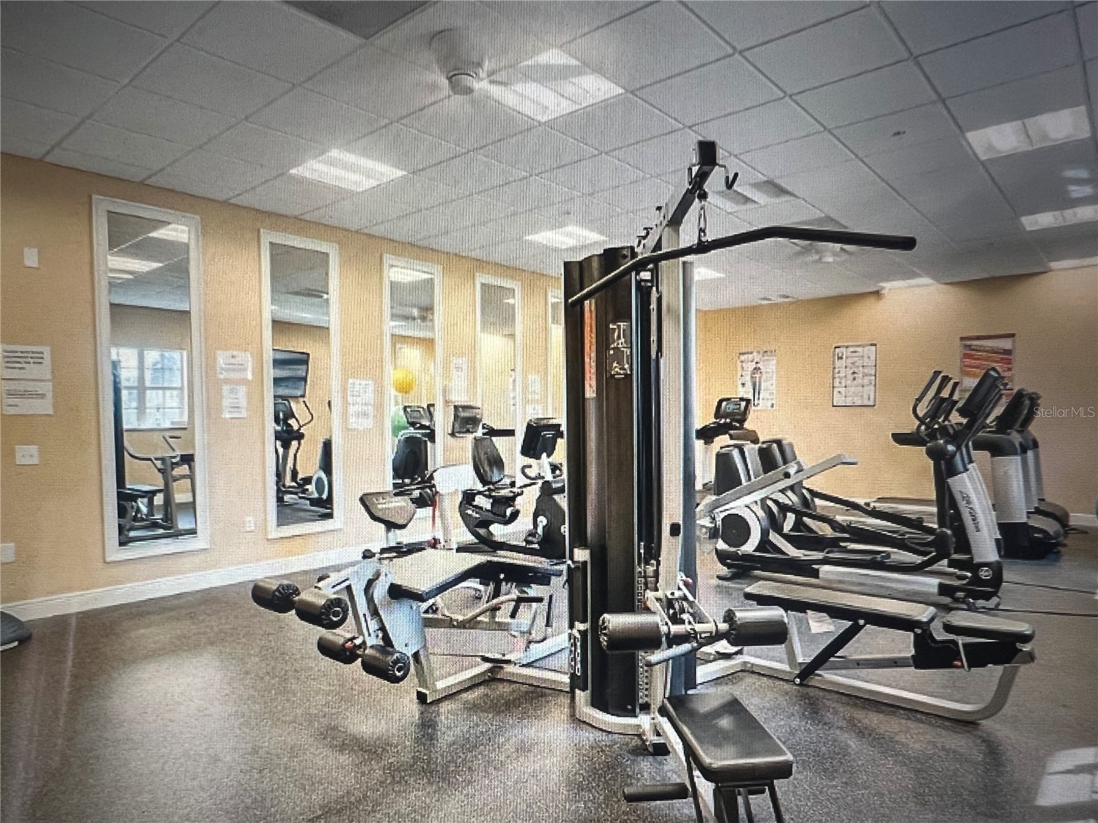 7523 Pellham Way Kissimmee FL 34747 O6400932 image17