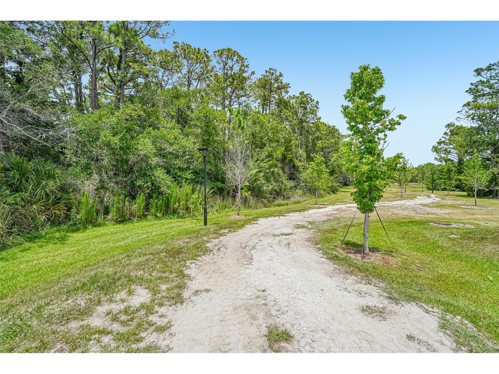7524 Deer Valley Circle Tampa FL 33635 TB8507730 image58
