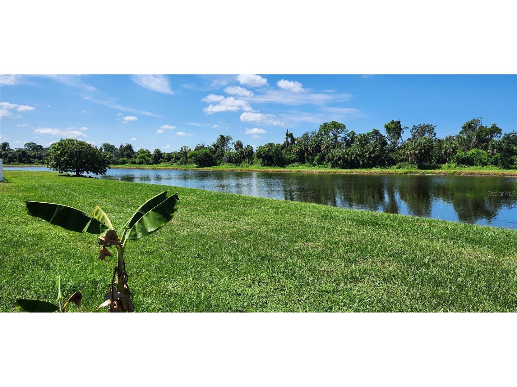 7524 Dragon Fly Gibsonton FL 33534 TB8385951 image16