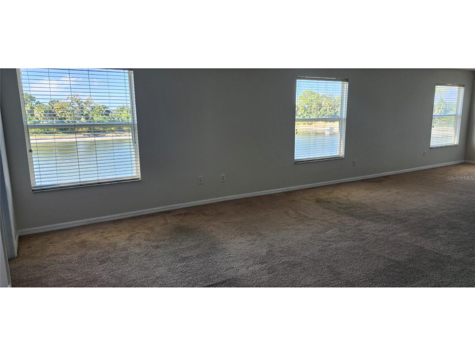 7524 Dragon Fly Gibsonton FL 33534 TB8385951 image35