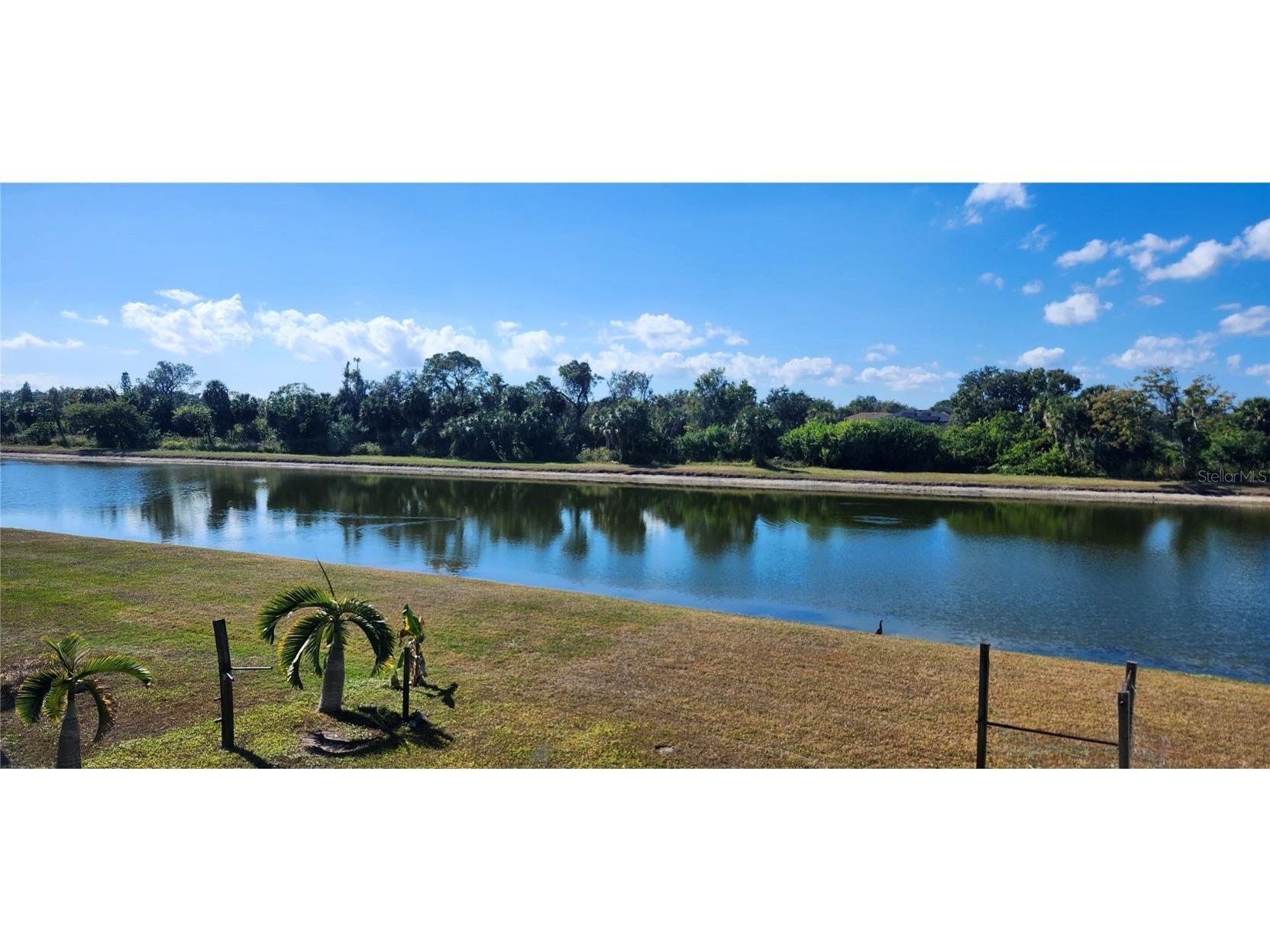 7524 Dragon Fly Gibsonton FL 33534 TB8385951 image41