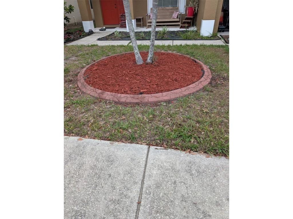 7524 Dragon Fly Gibsonton FL 33534 TB8385951 image7