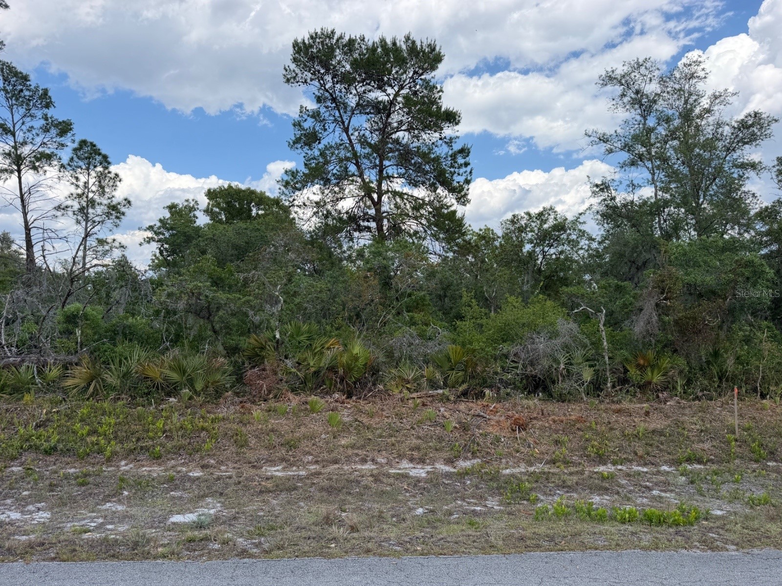 7524 Yumuri Street Sebring FL 33872 O6400928 image1