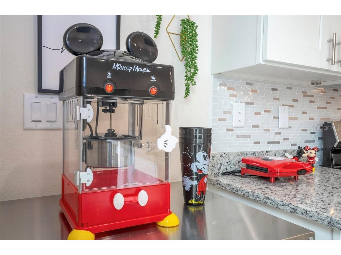 7525 Sunflower Circle Kissimmee FL 34747 O6235155 image33