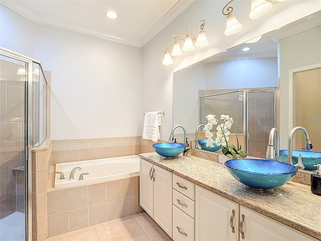 7526 Deer Path Lane Land O Lakes FL 34637 TB8457503 image28