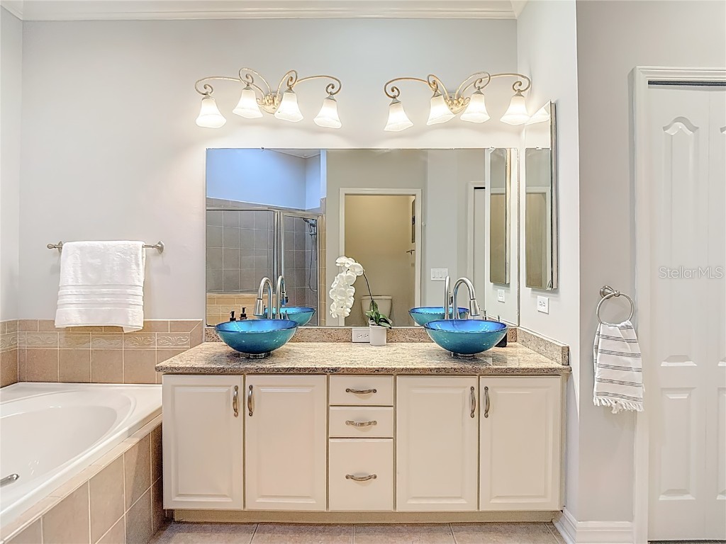 7526 Deer Path Lane Land O Lakes FL 34637 TB8457503 image29