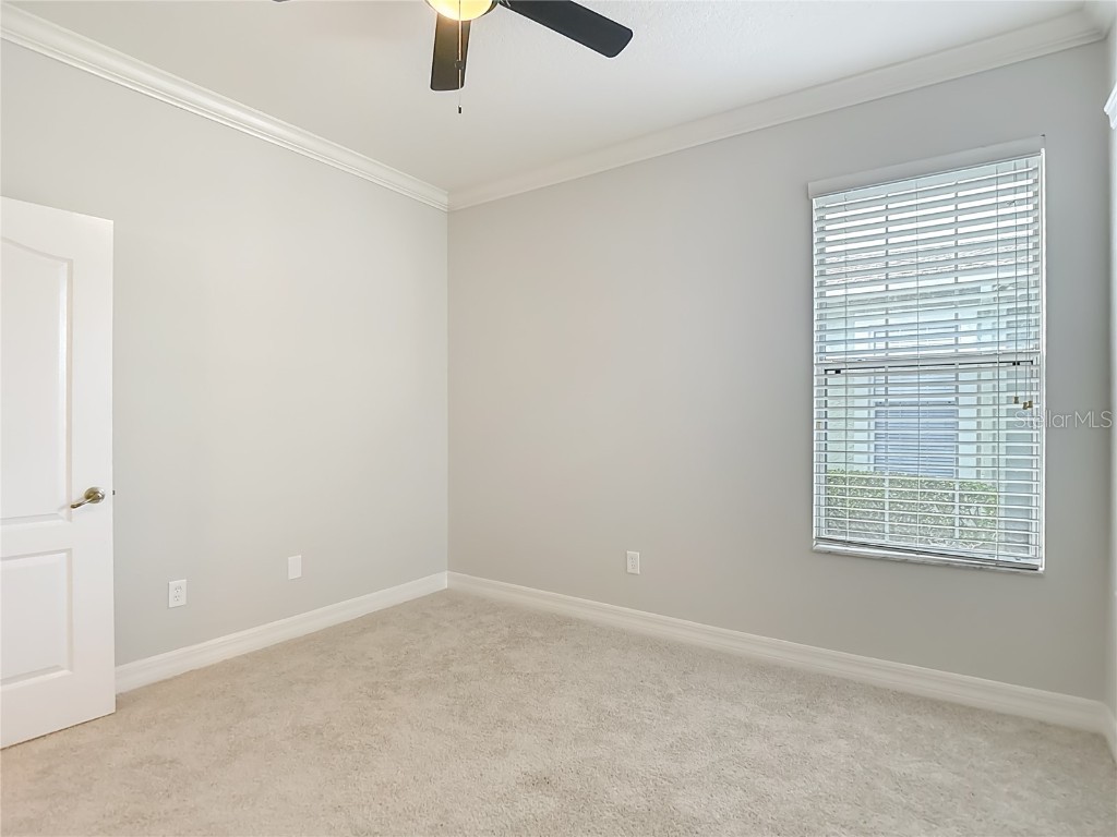 7526 Deer Path Lane Land O Lakes FL 34637 TB8457503 image33