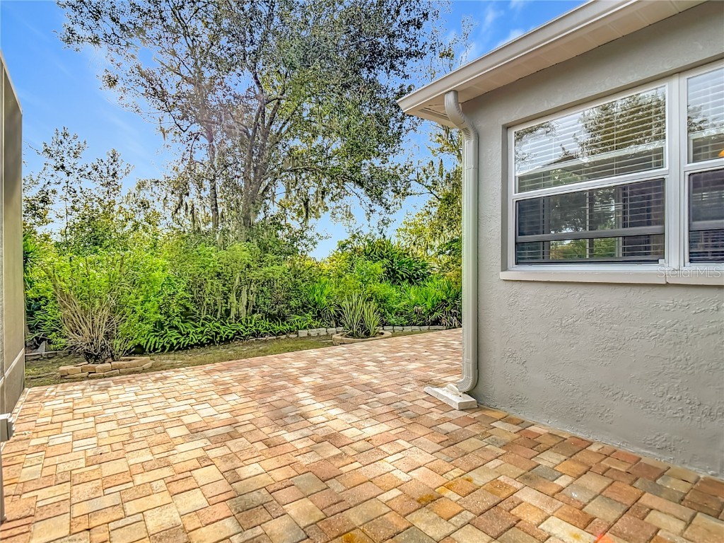 7526 Deer Path Lane Land O Lakes FL 34637 TB8457503 image43