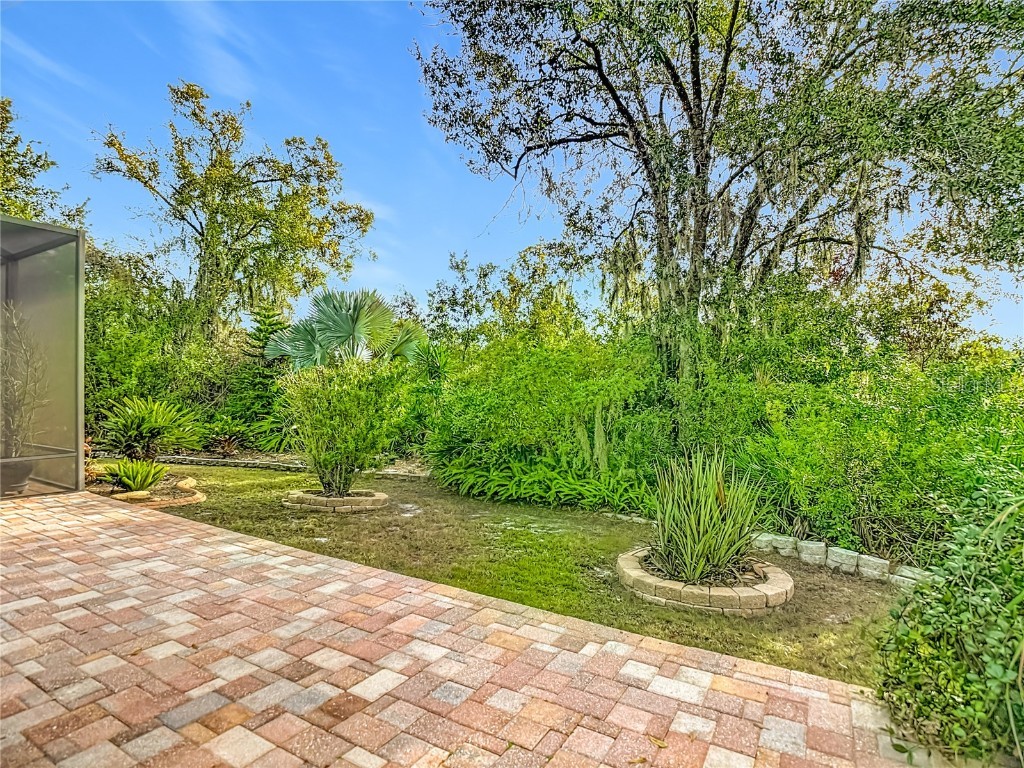 7526 Deer Path Lane Land O Lakes FL 34637 TB8457503 image44