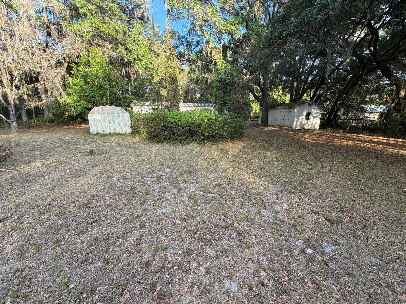 7526 NE 221st Street Melrose FL 32666 P4938388 image10