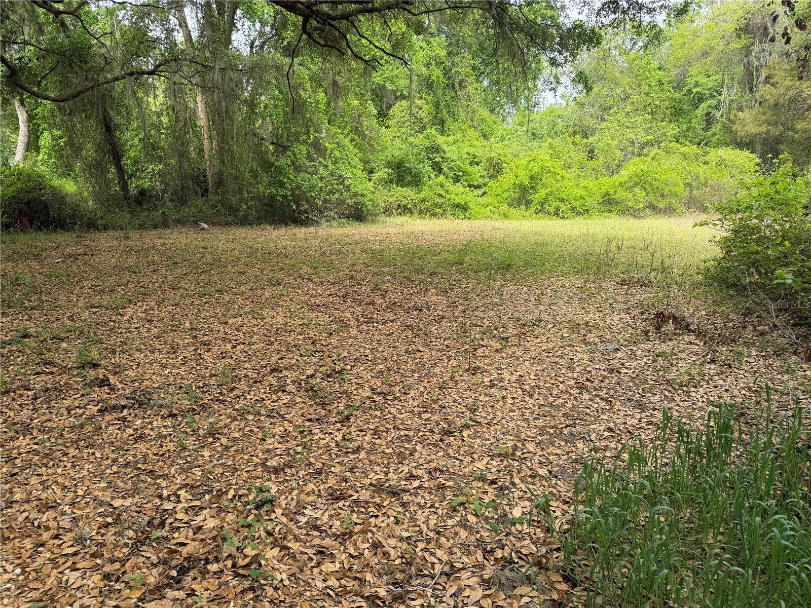 7526 NE 221st Street Melrose FL 32666 P4938388 image12