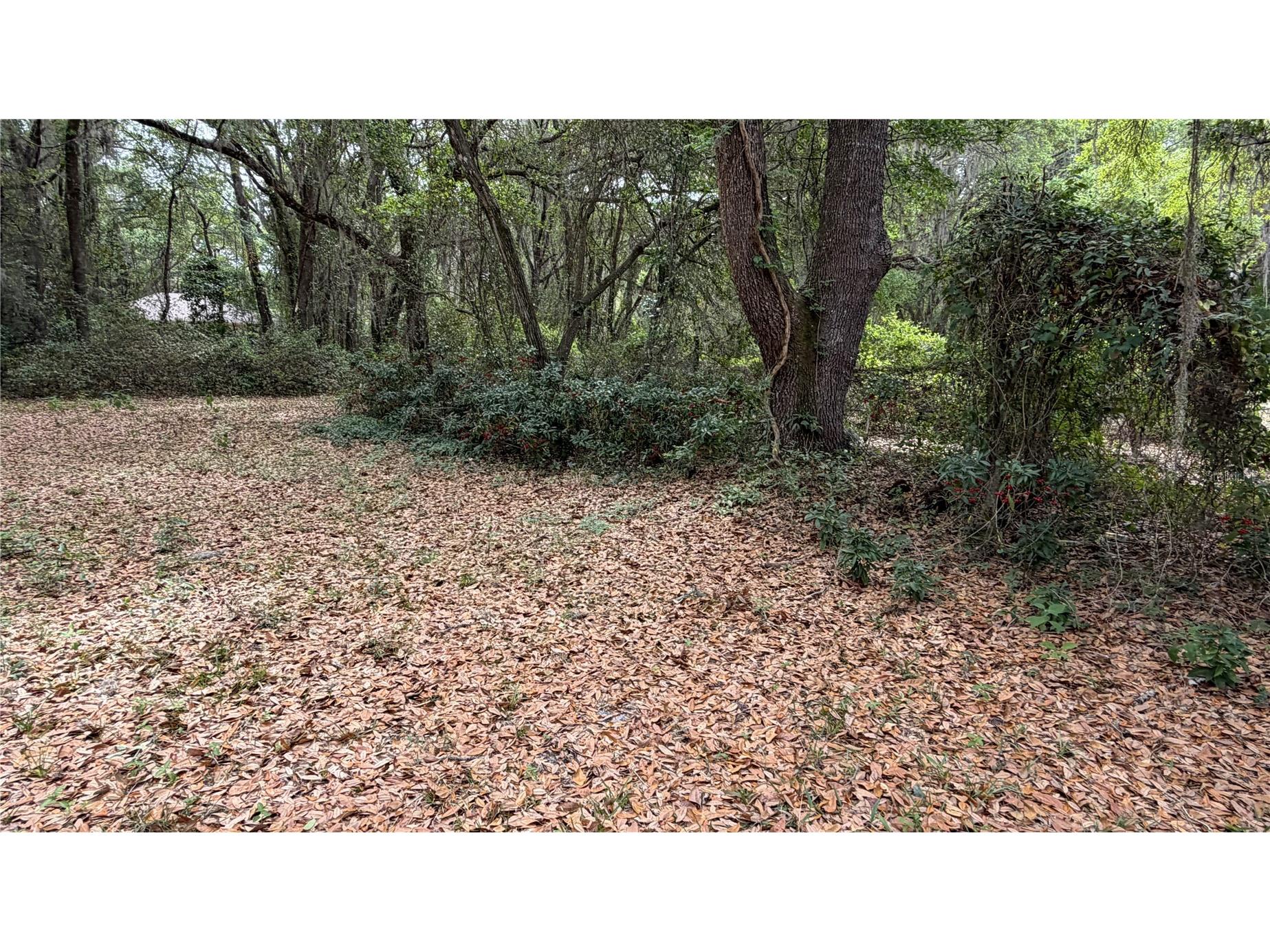 7526 NE 221st Street Melrose FL 32666 P4938388 image13