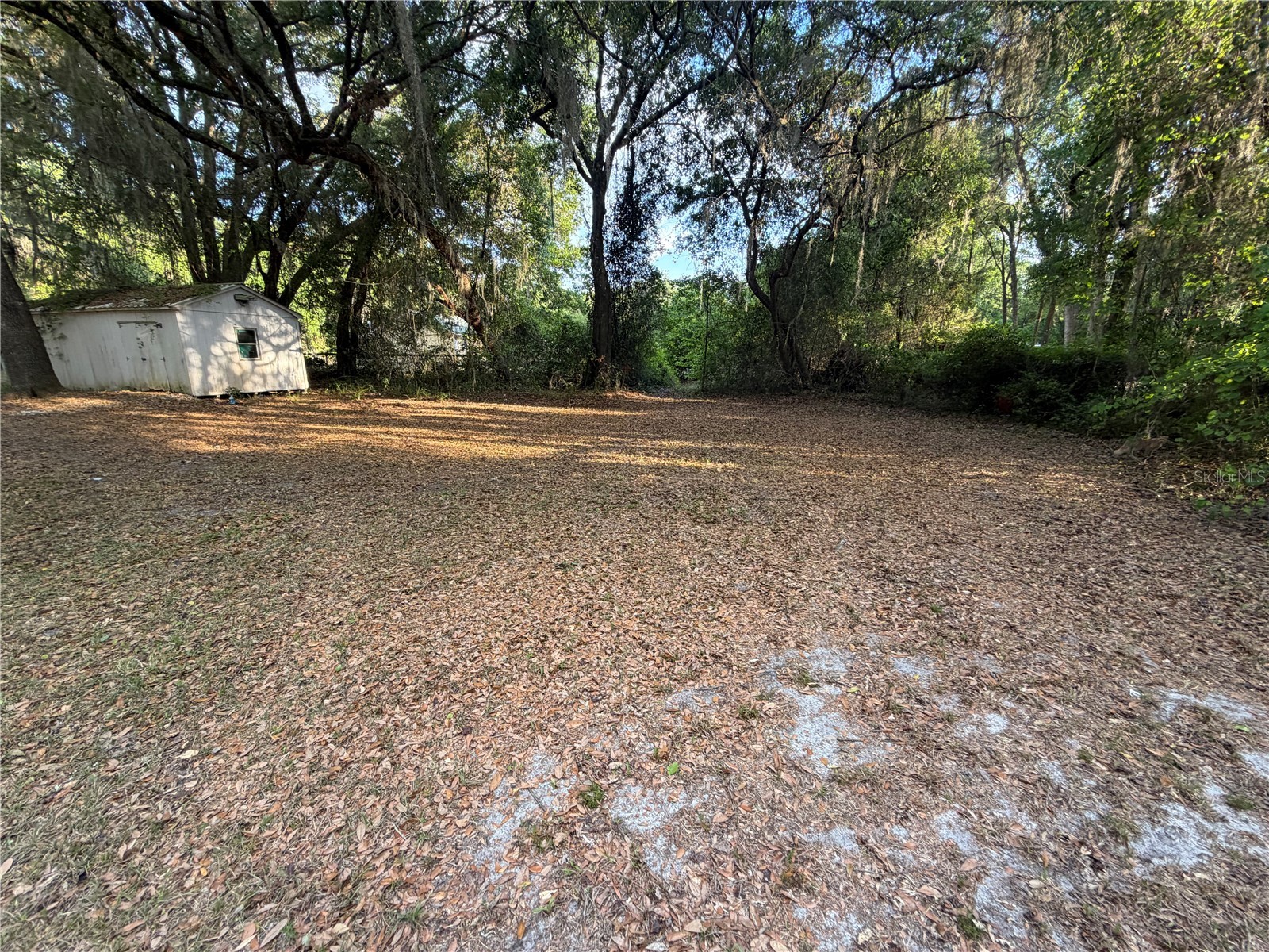 7526 NE 221st Street Melrose FL 32666 P4938388 image44