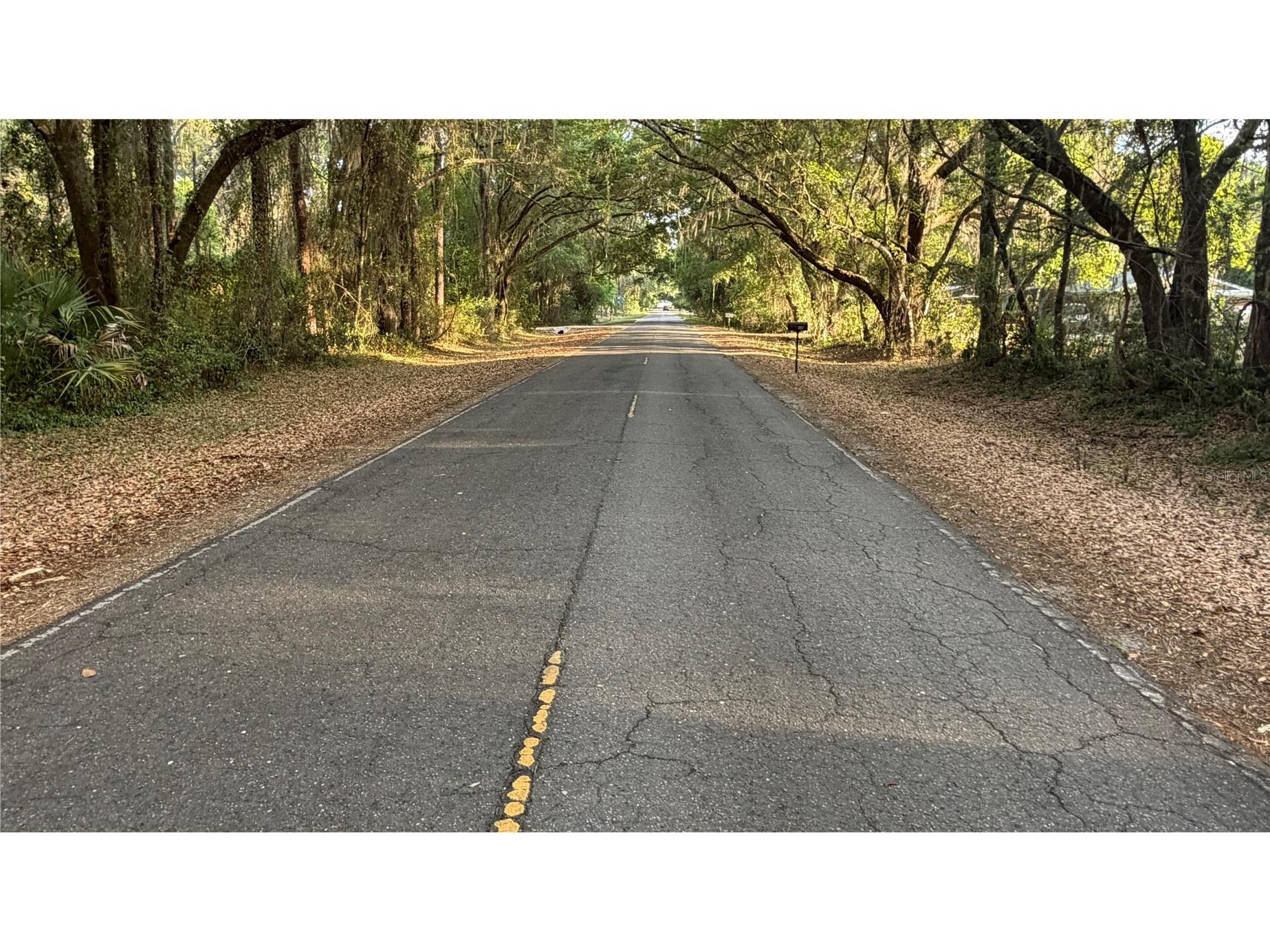7526 NE 221st Street Melrose FL 32666 P4938388 image48