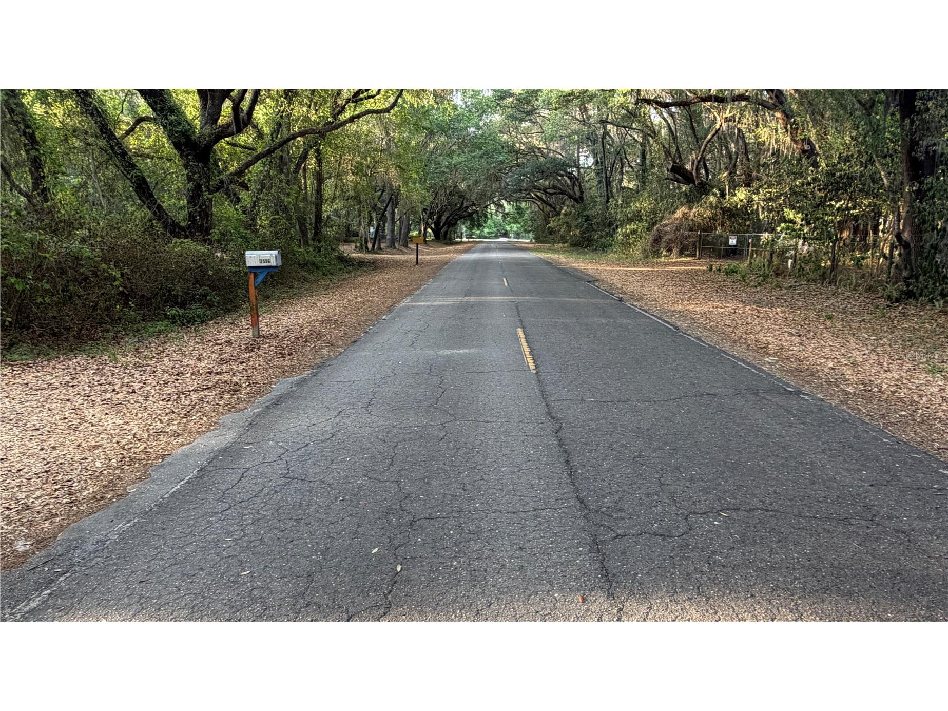 7526 NE 221st Street Melrose FL 32666 P4938388 image49