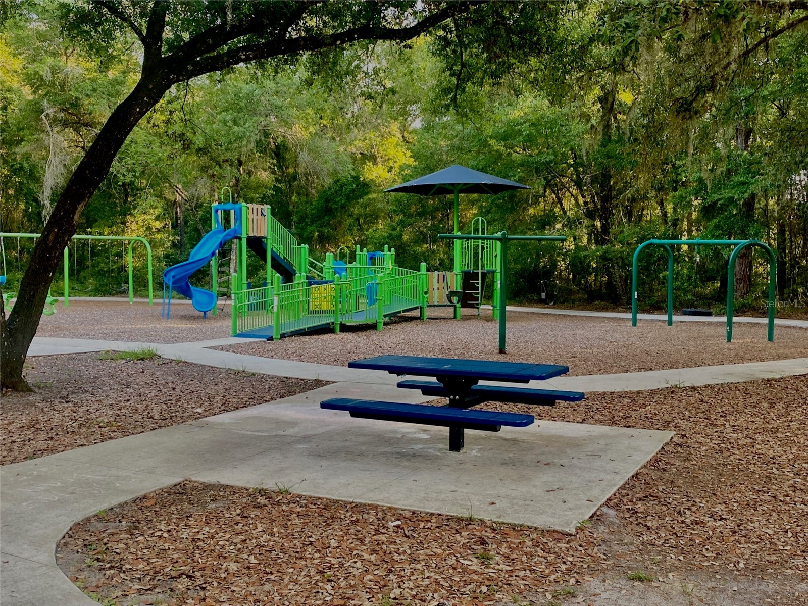 7526 NE 221st Street Melrose FL 32666 P4938388 image75