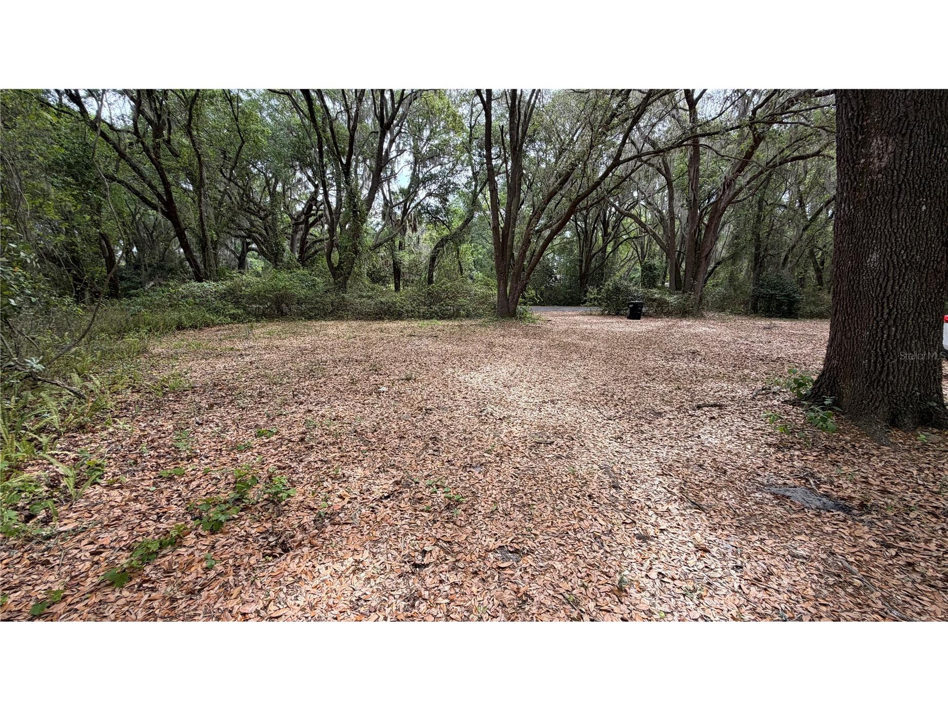 7526 NE 221st Street Melrose FL 32666 P4938388 image8