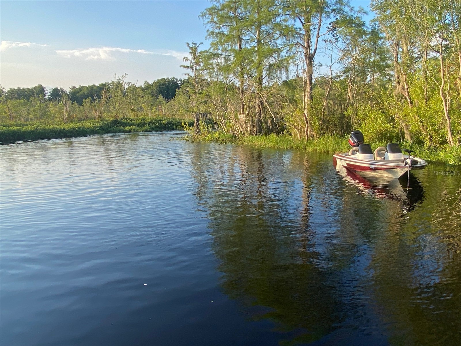 7526 NE 221st Street Melrose FL 32666 P4938388 image82