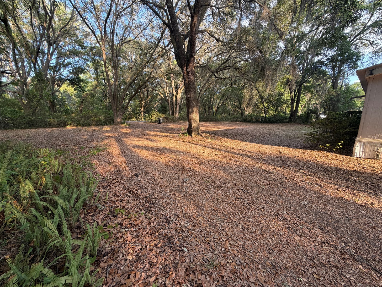 7526 NE 221st Street Melrose FL 32666 P4938388 image9