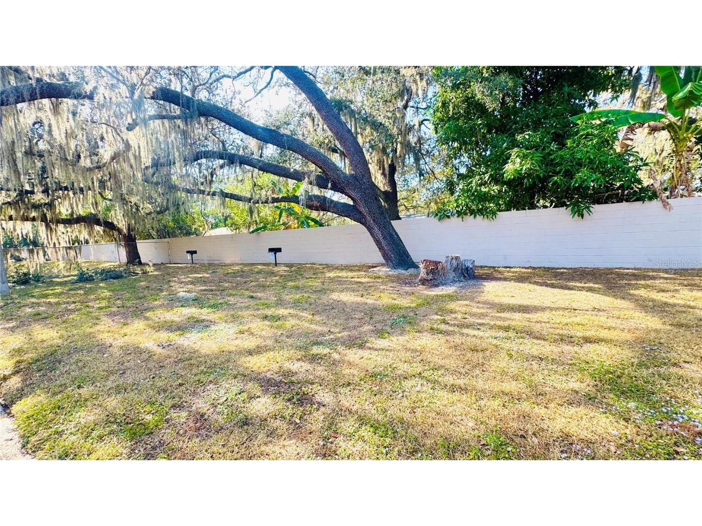 7526 Needle Leaf Place #29 Tampa FL 33617 TB8458565 image21