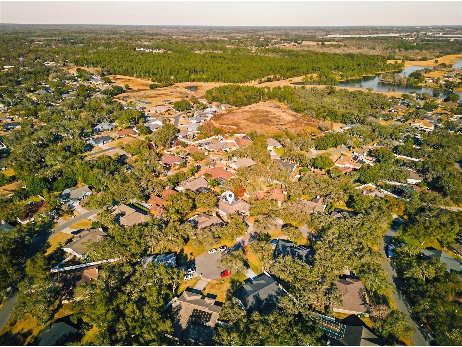 7527 Folk Way Lakeland FL 33809 L4959210 image39